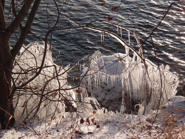 Ice sculptures on bank of lake