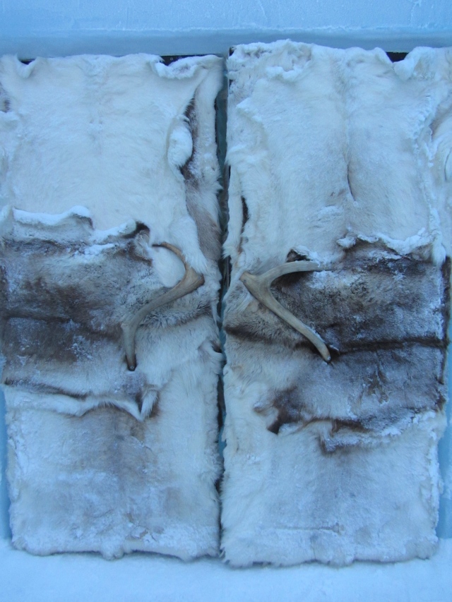 A close-up of the entrance doors made of reindeer skin and antlers