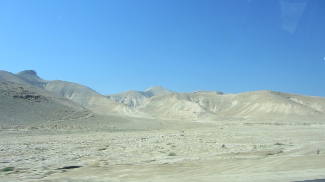 The beauty of the desert