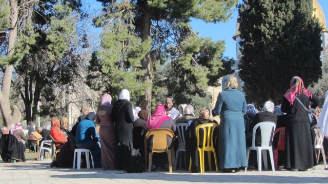A group of women studying together on Temple Mount