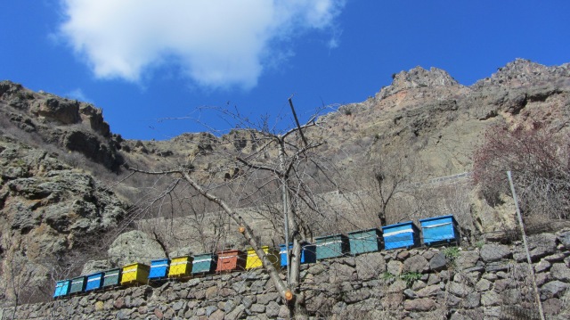 Colored beehives lined up at the monastery